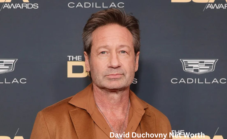 david duchovny net worth
